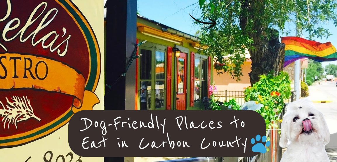 Dog Friendly places to eat carbon county wy